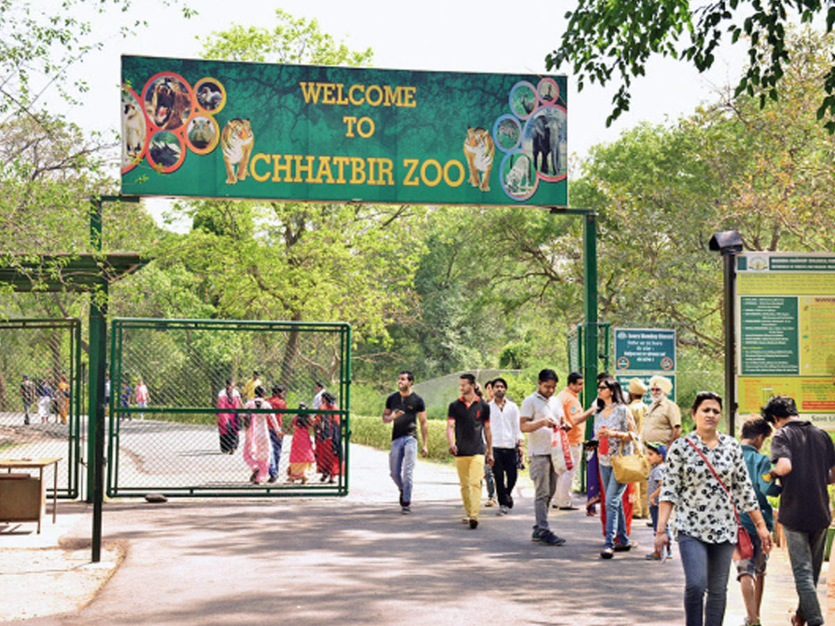 Chhatbir Zoo, Zirakpur